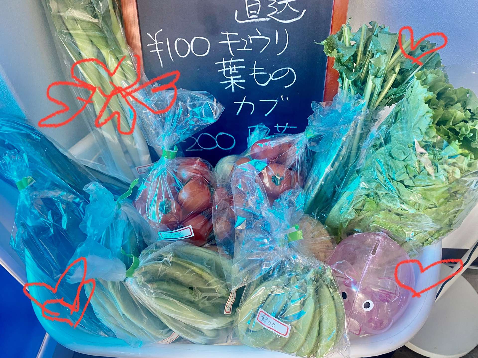 べりー店内、夏野菜販売〜