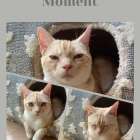 日焼け止め、どう首に塗る？